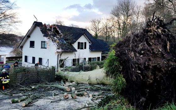 Bad Salzungen Baum stürzt auf Haus Bewohner unverletzt