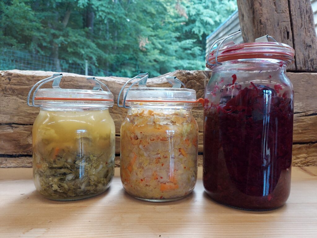 Fermentieren lernen in Fladungen: Sauerkraut, Kombucha und Kimchi am 24. Oktober in Fränkisches Freilandmuseum Fladungen 24.10.26